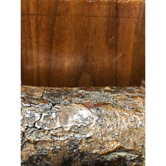 Handmade Rustic Mid-Century Modern Pine Log Finished Sturdy Bookends 5.5 Inches - Picture 4 of 6